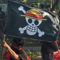 The Flag of the Strawhat Pirates being flown in Indonesian Protests